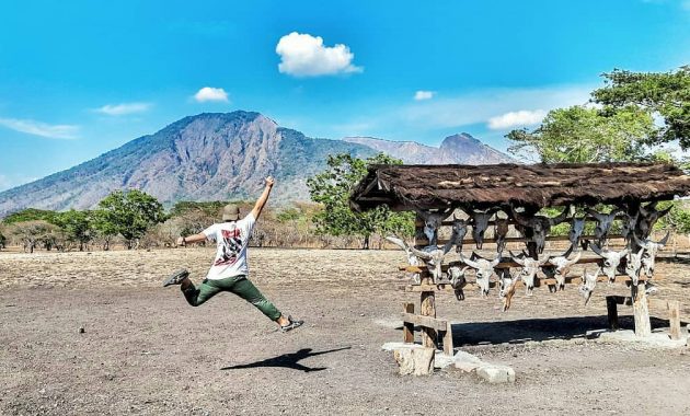 taman nasional baluran