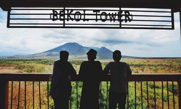 taman nasional baluran