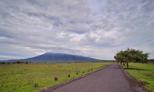taman nasional baluran
