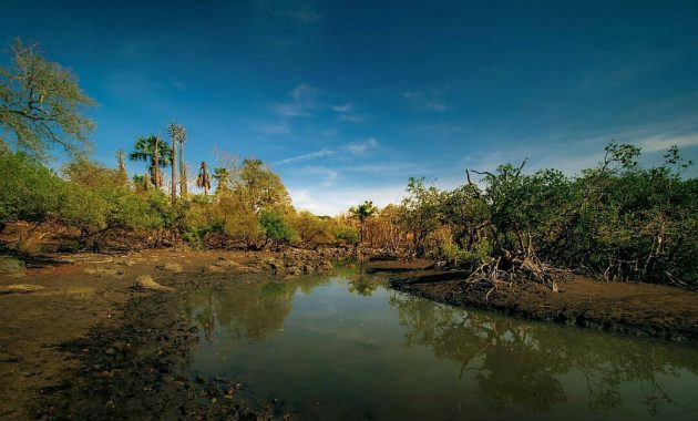 taman nasional baluran