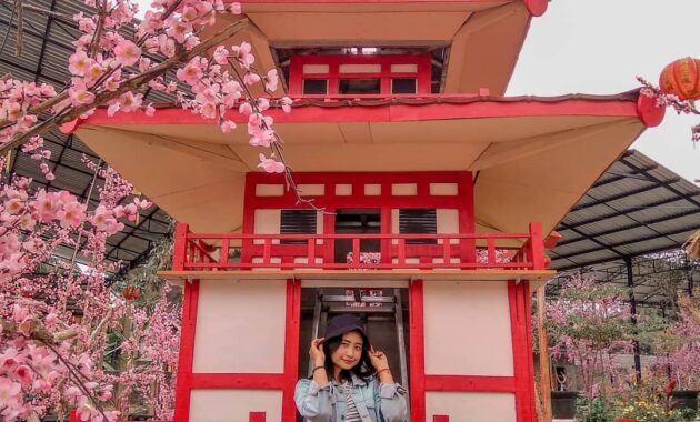 Taman Sakura Blitar, Objek Wisata Anyar Yang Menghipnotis Milenials