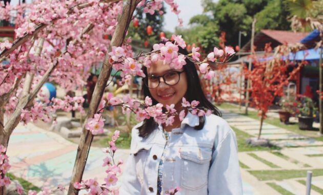 taman sakura blitar, objek wisata anyar yang menghipnotis milenials, Harga Tiket Masuk, Jalan Menuju Lokasi, Fasilitas, Spot Foto Instagenic, Pesona Taman Sakura