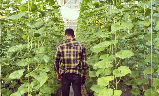 Taman Wisata Buah Mekarsari