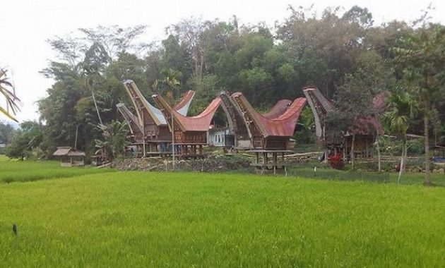 tana toraja, tempat yang pas untuk mengenal salah satu kekayaan budaya indonesia