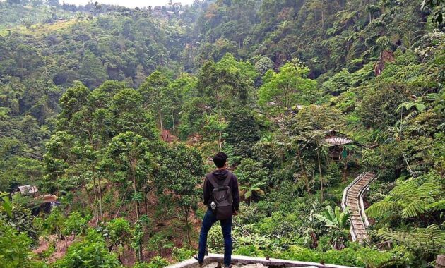 terbius cantiknya curug cigamea, Rute Menuju Lokasi, Harga Tiket Masuk, Penginapan Terdekat, Misteri Angker, Kawah Ratu Gunung Salak