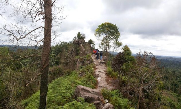 terbuai indahnya wisata di balikpapan yang bikin malas pulang, Kebun Raya Balikpapan, Wanawisata KM 10, Batu Dinding, Pantai Kemala