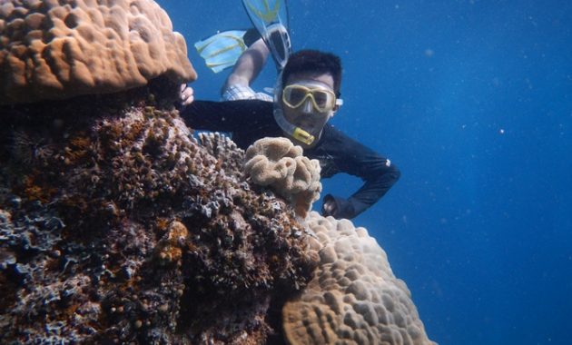 tertarik jelajah derawan dengan cara backpacking? tips ini wajib diikuti!