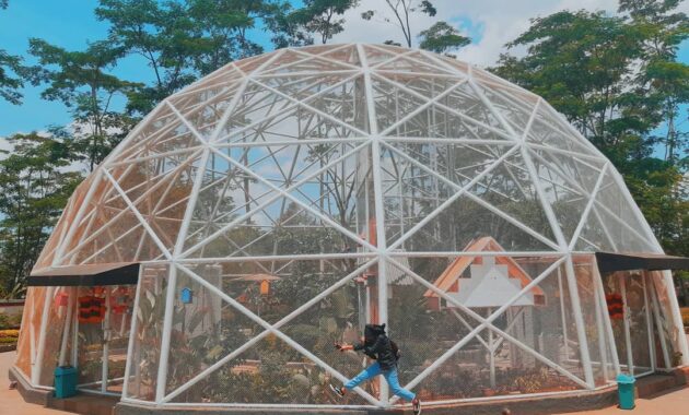 the village purwokerto: nikmati sensasi liburan seperti di negeri eropa