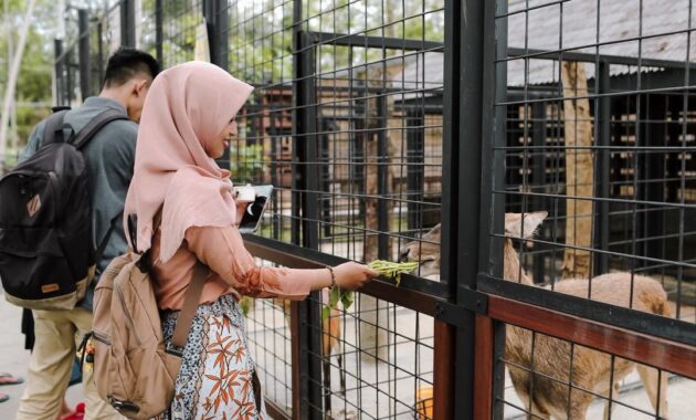 the village purwokerto: nikmati sensasi liburan seperti di negeri eropa