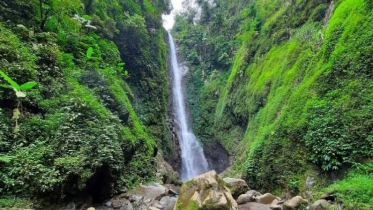 air terjun brebes, air terjun di brebes, air terjun terbaik di brebes, curug brebes, curug di brebes, objek wisata alam di brebes, wisata alam brebes, wisata brebes, top 10+ air terjun di brebes terbaru & terhits, review lokasi, tiket, fasilitas dll