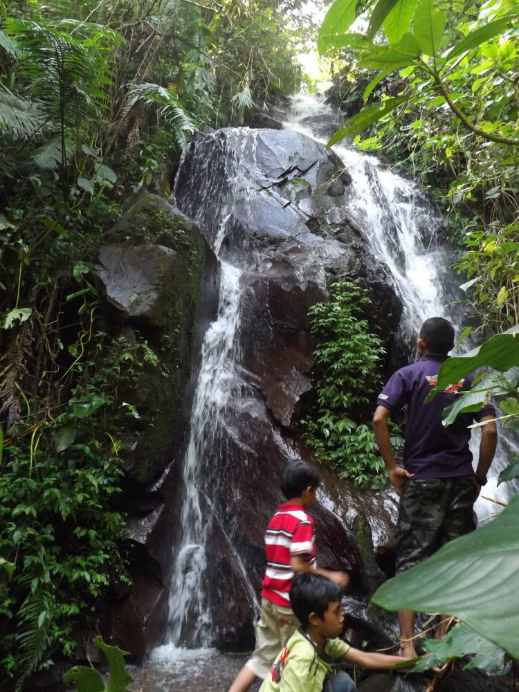 air terjun brebes, air terjun di brebes, air terjun terbaik di brebes, curug brebes, curug di brebes, objek wisata alam di brebes, wisata alam brebes, wisata brebes, top 10+ air terjun di brebes terbaru & terhits, review lokasi, tiket, fasilitas dll