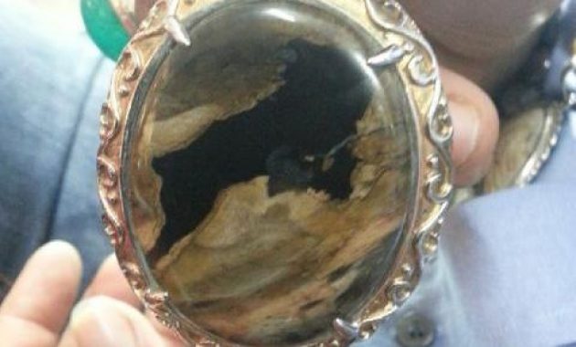 top 10+ batu fosil kayu termahal beserta harganya