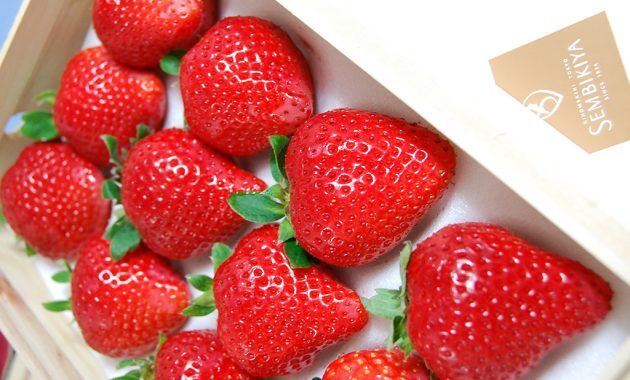 top 10+ buah termahal di dunia, ada yang seharga mobil!
