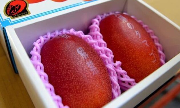 top 10+ buah termahal di dunia, ada yang seharga mobil!