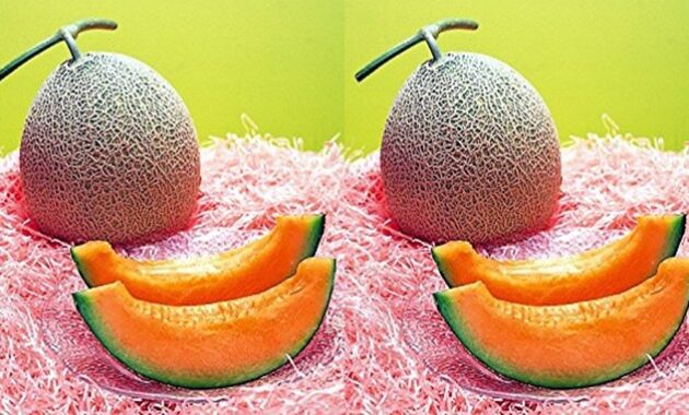 Top 10+ Buah Termahal di Dunia, Ada Yang Seharga Mobil!