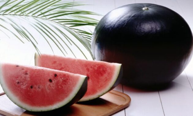 top 10+ buah termahal di dunia, ada yang seharga mobil!