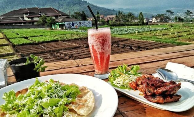 top 10+ daftar pilihan destinasi wisata malam hari paling favorit buat anak milennials di kota batu