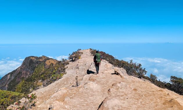 top 10+ daftar pilihan gunung daerah semarang yang diburu para pecinta alam untuk hiking