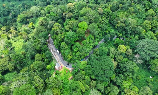 top 10+ daftar pilihan gunung di daerah banyuwangi dengan pesona indahnya yang bikin kalian betah