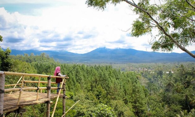 top 10+ daftar pilihan gunung di daerah banyuwangi dengan pesona indahnya yang bikin kalian betah