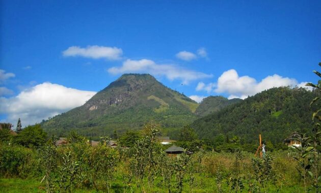 top 10+ daftar pilihan gunung di daerah banyuwangi dengan pesona indahnya yang bikin kalian betah