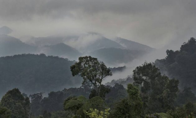 top 10+ daftar pilihan gunung terangker di indonesia namun memiliki keindahan yang luar biasa