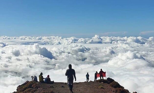 top 10+ daftar pilihan gunung tertinggi di negara indonesia yang memiliki keindahan sangat luar biasa
