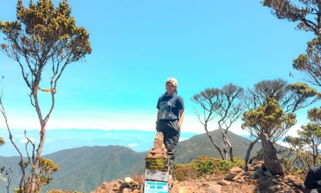 top 10+ daftar pilihan gunung tertinggi di negara indonesia yang memiliki keindahan sangat luar biasa