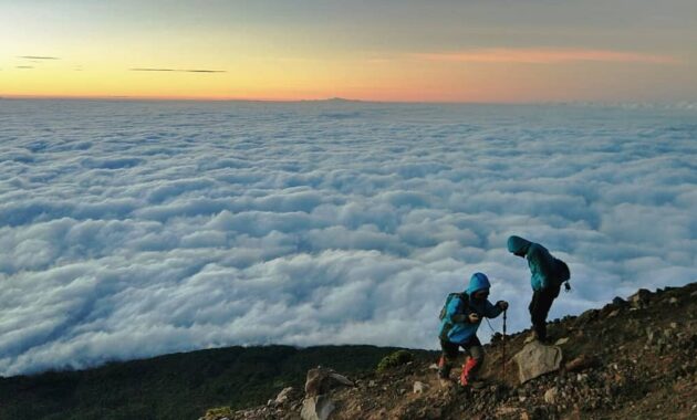 top 10+ daftar pilihan gunung tertinggi di pulau jawa cocok buat spot pendakian kalian para pencinta alam