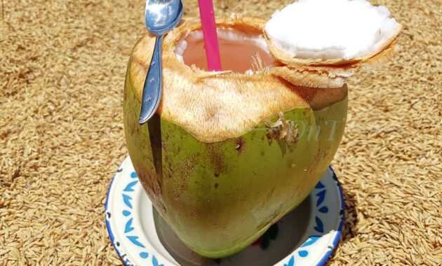top 10+ daftar pilihan minuman khas daerah kalimantan timur yang menyehatkan dan menyegarkan, wajib untuk dicicipi