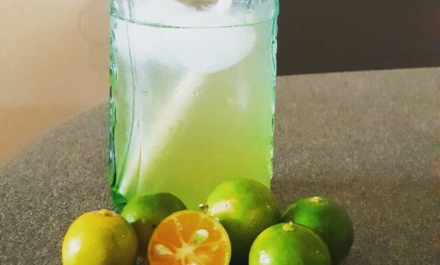 top 10+ daftar pilihan minuman khas daerah kalimantan timur yang menyehatkan dan menyegarkan, wajib untuk dicicipi