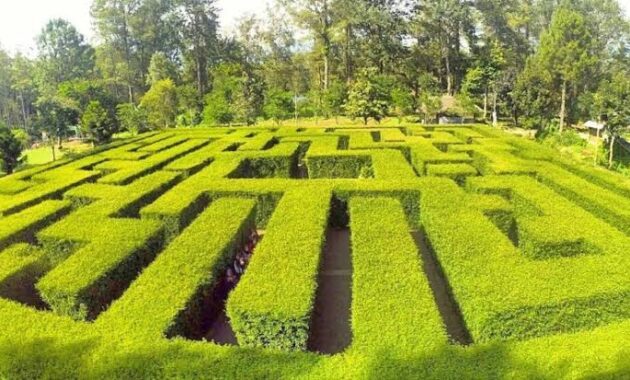 top 10+ daftar pilihan taman di daerah malang yang kece abis, cocok banget buat hangout