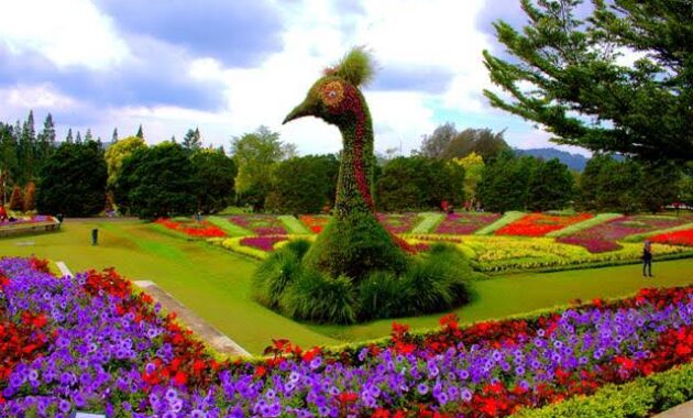 top 10+ daftar pilihan taman wisata di bogor yang recommended buat kamu kunjungi untuk memanjakan mata