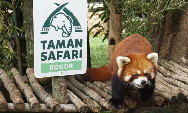 Top 10+ Daftar Pilihan Taman Wisata di Bogor Yang Recommended Buat Kamu Kunjungi Untuk Memanjakan Mata