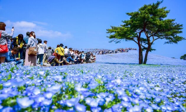 top 10+ daftar pilihan tempat paling cantik dengan pemandangan terindah di dunia yang wajib kalian kunjungi!