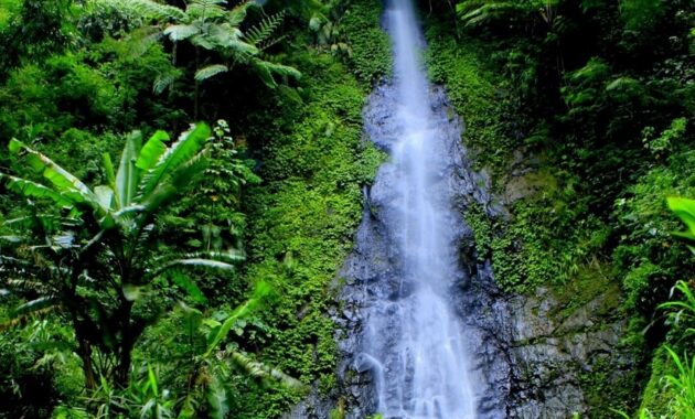 top 10+ daftar wisata air terjun di wilayah semarang yang eksotis dan oke banget buat dikunjungi