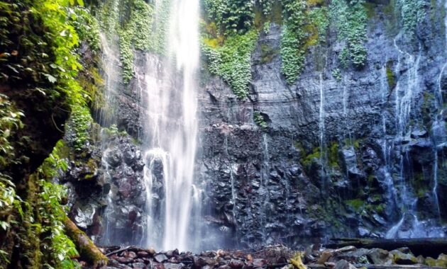 Top 10+ Daftar Wisata Air Terjun di Wilayah Semarang Yang Eksotis dan Oke Banget Buat Dikunjungi