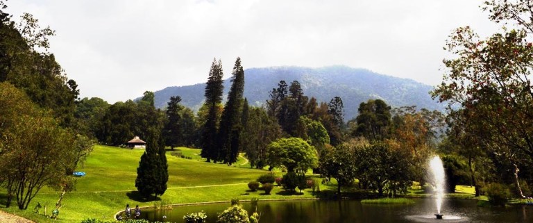 Top 10+ Daya Tarik Taman Cibodas, Harga Tiket, Daya Tarik, Wahana dll