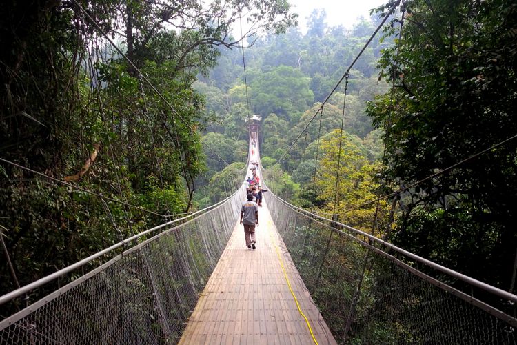 destinasi wisata di cianjur, objek wisata di cianjur, tempat rekreasi di cianjur, wisata di cianjur, wisata kekinian di cianjur, top 10 destinasi wisata di cianjur paling hits & terkenal, wajib dikunjungi