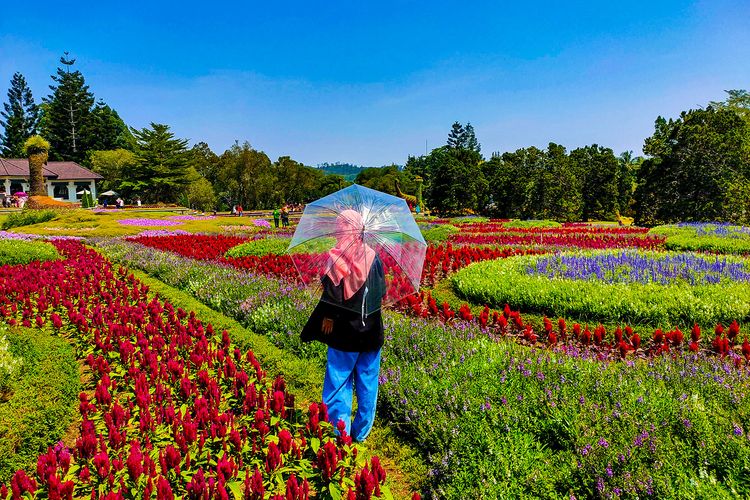 destinasi wisata di cianjur, objek wisata di cianjur, tempat rekreasi di cianjur, wisata di cianjur, wisata kekinian di cianjur, top 10 destinasi wisata di cianjur paling hits & terkenal, wajib dikunjungi