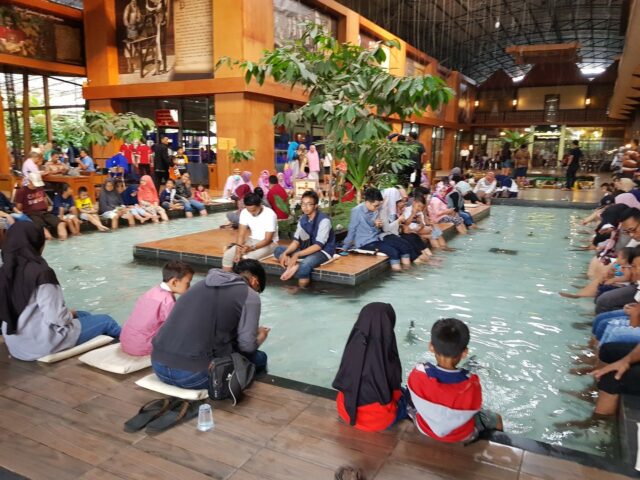 agrowisata kali klatak, aktivitas seru kampung coklat, daya tarik kampung coklat, harga tiket kampung coklat, harga tiket masuk kampung coklat, kampung coklat, kampung coklat kediri, objek wisata kampung coklat, wahana kampung coklat, wisata kampung coklat, top 10+ foto kampung coklat blitar: harga tiket, fasilitas, wahana, daya tarik