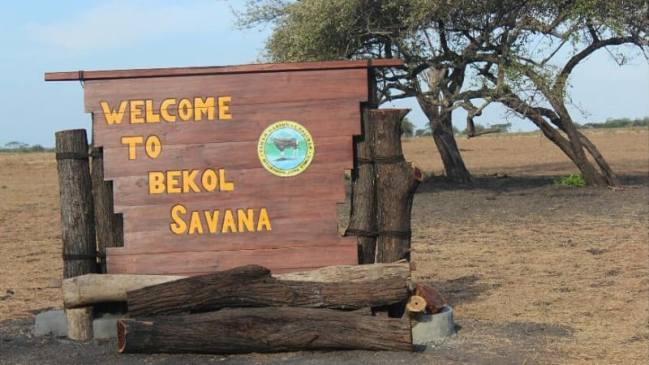 harga tiket taman nasional baluran, taman nasional baluran, taman nasional baluran situbondo, tiket masuk taman nasional baluran, top 10+ foto taman nasional baluran situbondo, tempat wisata seru ala afrika