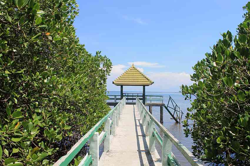 harga tiket taman nasional baluran, taman nasional baluran, taman nasional baluran situbondo, tiket masuk taman nasional baluran, top 10+ foto taman nasional baluran situbondo, tempat wisata seru ala afrika