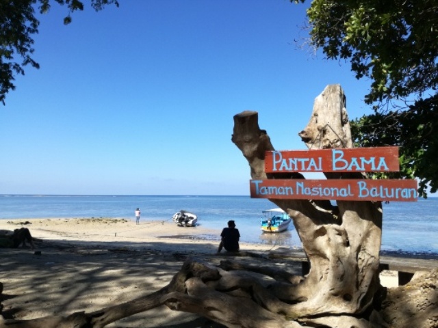 harga tiket taman nasional baluran, taman nasional baluran, taman nasional baluran situbondo, tiket masuk taman nasional baluran, top 10+ foto taman nasional baluran situbondo, tempat wisata seru ala afrika
