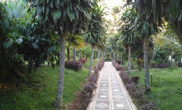 top 10+ foto tlogo plantation salatiga, lokasi alamat wisata + harga tarif hotel villa spa