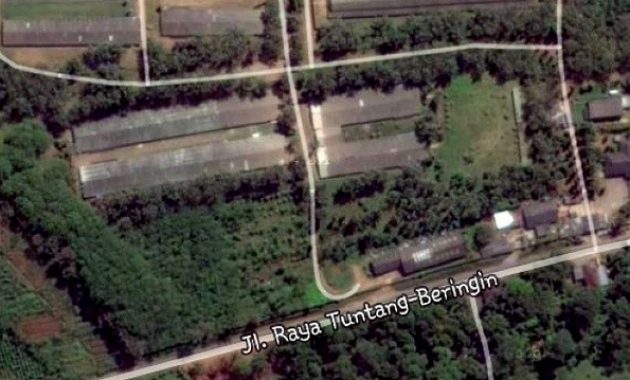 top 10+ foto tlogo plantation salatiga, lokasi alamat wisata + harga tarif hotel villa spa