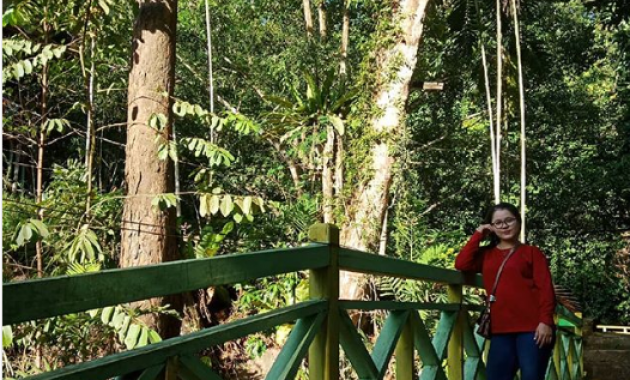 top 10+ gambar air terjun tanah merah balikpapan, misteri mistis, lokasi alamat + fasilitas yang di sediakan wisata