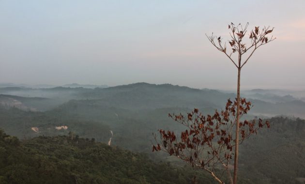 top 10+ gambar biru bukit balikpapan, lokasi alamat, ketinggian, hotel villa di sekitar wisata + jalan menuju ke sana