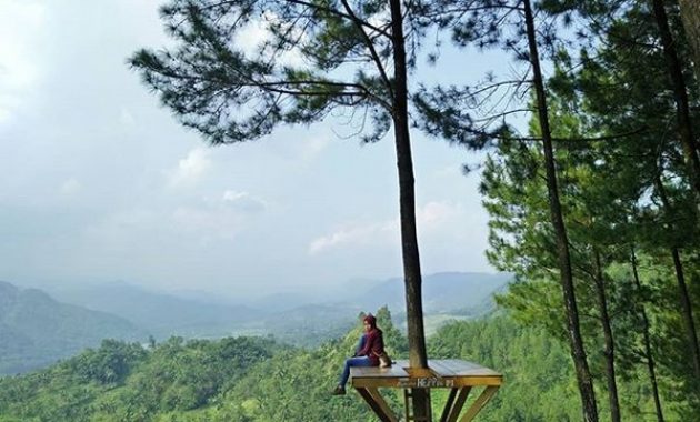 top 10+ gambar bukit pentulu indah kebumen, harga tiket masuk, lokasi alamat, rute jalur menuju wisata + jam buka tutup