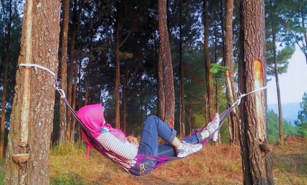 top 10+ gambar bukit pentulu indah kebumen, harga tiket masuk, lokasi alamat, rute jalur menuju wisata + jam buka tutup